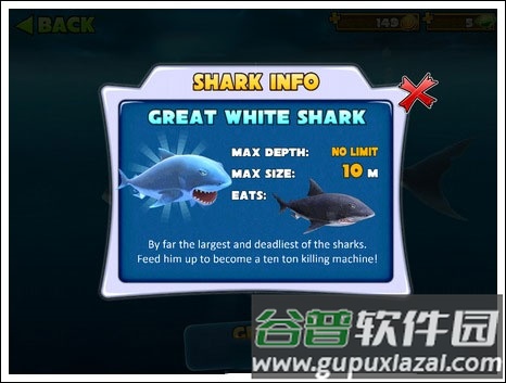 饥饿鲨进化鱼种类推荐5