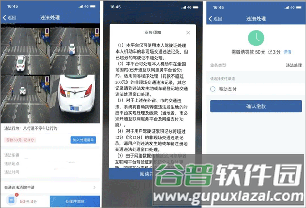 怎么查违章 怎么缴费配图3