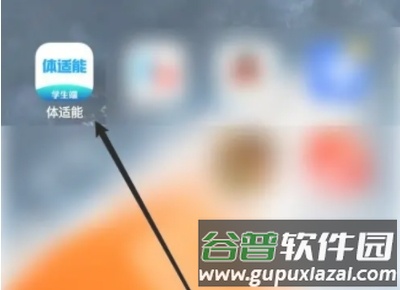 体适能怎么计算成绩1