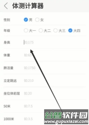 体适能怎么计算成绩3