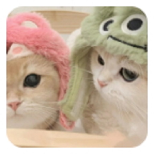 嘤嘤怪影视软件v2.6