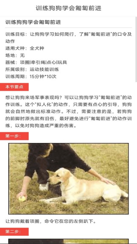 动物对话翻译器中文版截图1