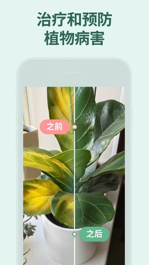 花草录app