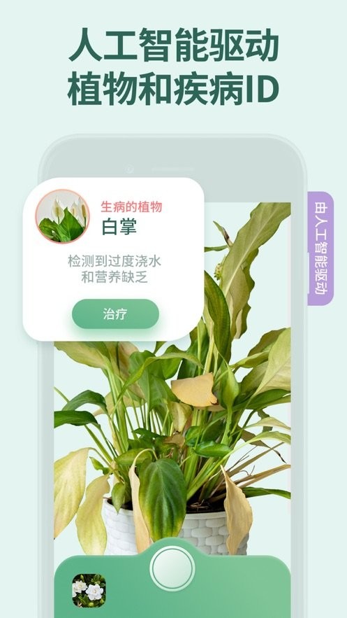 花草录中文版截图1