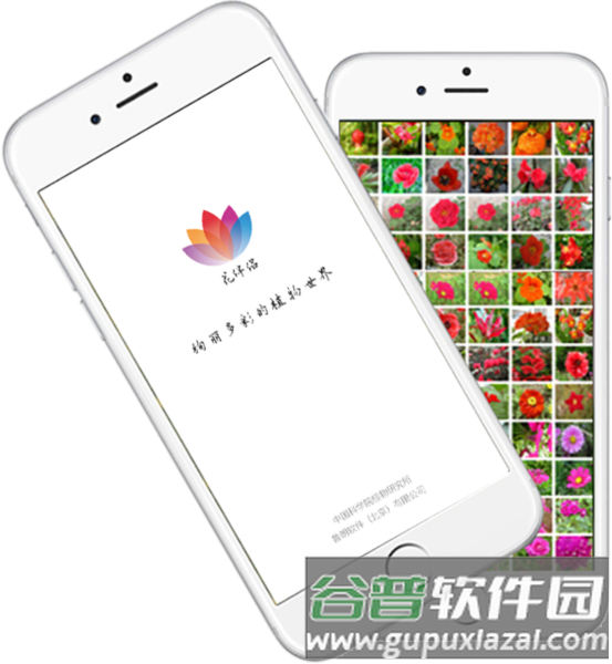 花伴侣app3