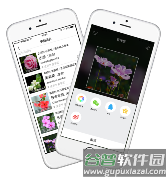 花伴侣app1