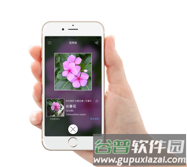 花伴侣app2