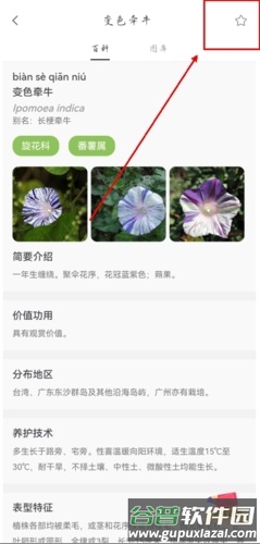 花伴侣app怎么才可以把识别过的花保存图片2