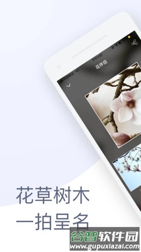 花伴侣植物识别app截图1