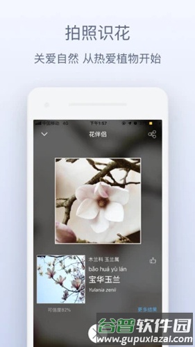 花伴侣植物识别app截图3