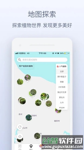 花伴侣植物识别app截图4