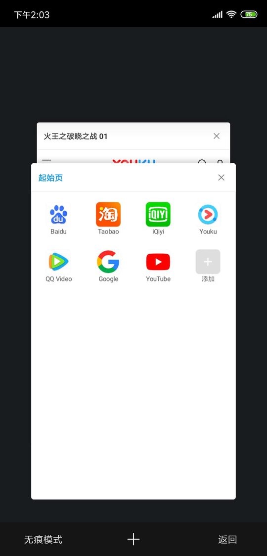 欢欢浏览器最新版截图2