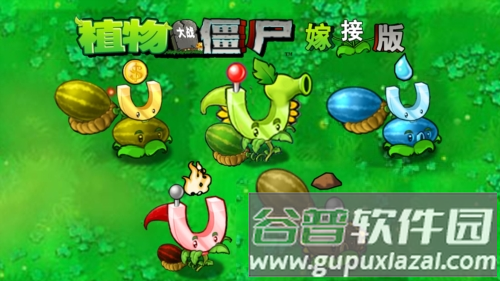 植物大战僵尸嫁接版游戏截图1