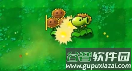 植物大战僵尸嫁接版游戏截图4