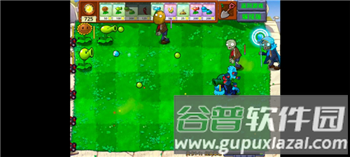 植物大战僵尸嫁接版游戏截图6