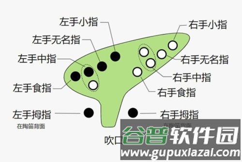 快乐谱app免费版新手入门教程2