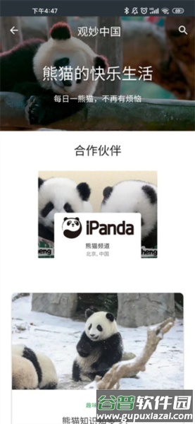 观妙中国官方版截图4