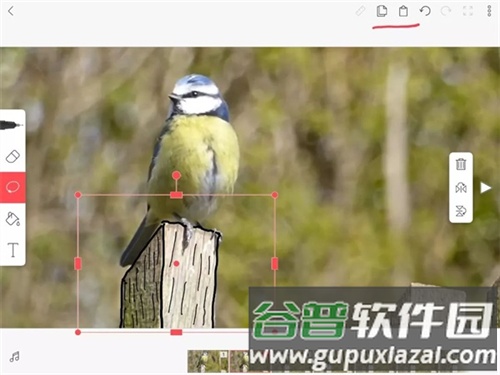 flipaclip动画制作app最新版21