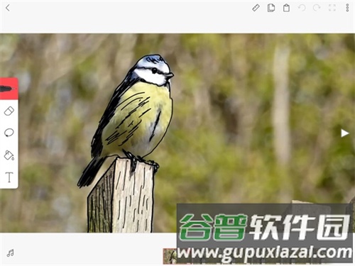 flipaclip动画制作app最新版22