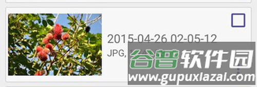 Diskdigger Pro中文版软件截图3