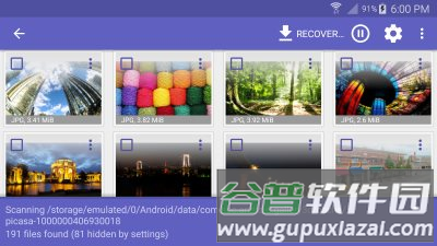 Diskdigger Pro中文版软件截图6