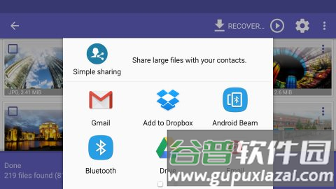 Diskdigger Pro中文版软件截图8