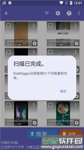 Diskdigger Pro中文版软件截图20