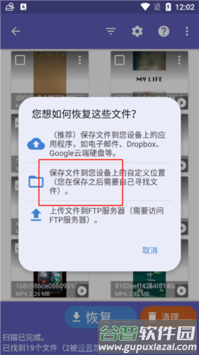 Diskdigger Pro中文版软件截图22