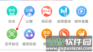 中国信鸽协会8