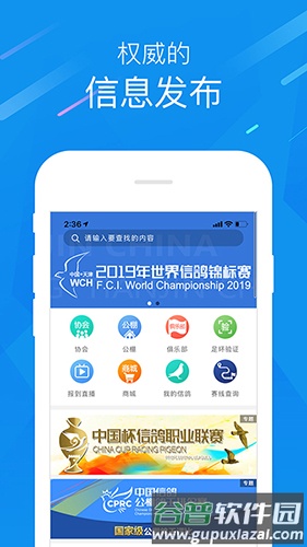 中国信鸽协会截图2