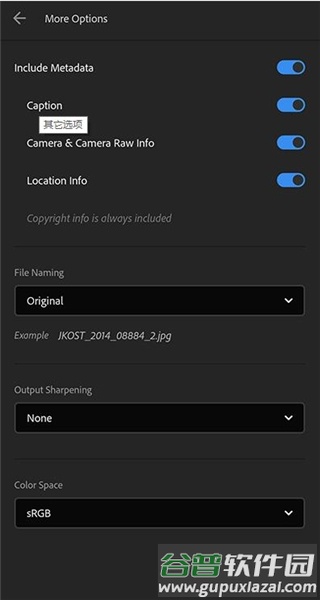 Adobe Lightroom mobile APP