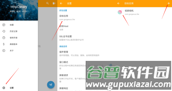 小黄鸟10