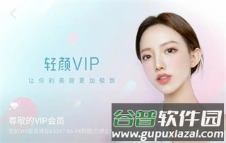 小黄鸟15