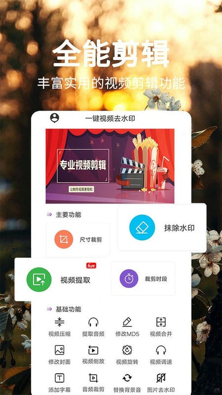 一键视频去水印软件截图1