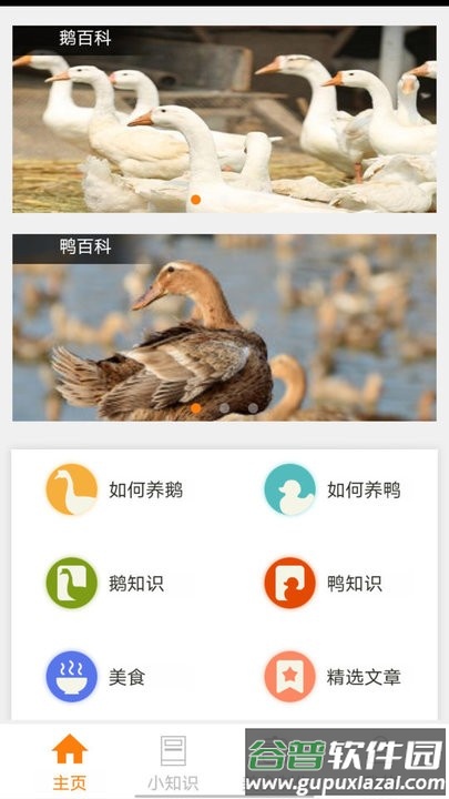 鹅鸭之家app手机版截图1