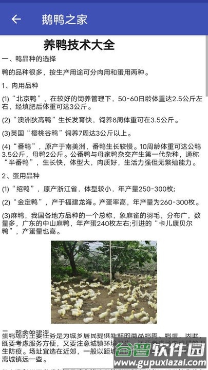 鹅鸭之家app手机版截图2