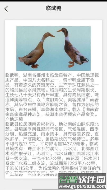 鹅鸭之家app手机版截图3
