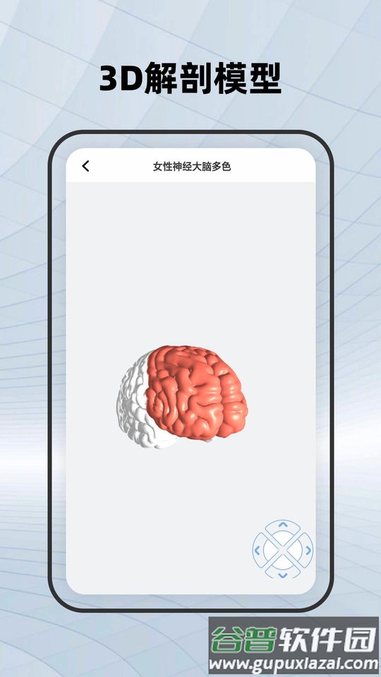 鸿物人体骨骼手机版截图1