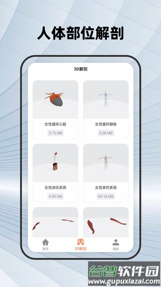 鸿物人体骨骼手机版截图3
