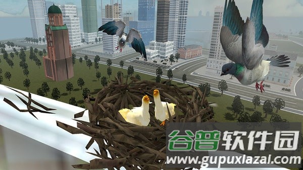 鸽子生存模拟游戏截图3