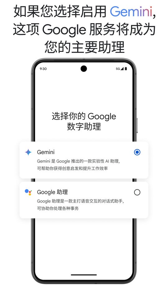 Google Gemini app截图3