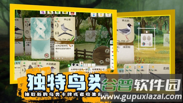 鸟类观察家最新版截图2