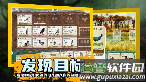 鸟类观察家最新版截图3