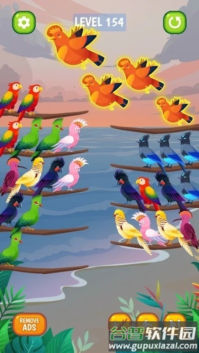 鸟类分类颜色拼图游戏(bird sort color puzzle)截图3