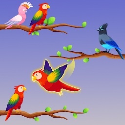 鸟类分类颜色拼图游戏(bird sort color puzzle)v1.0.0