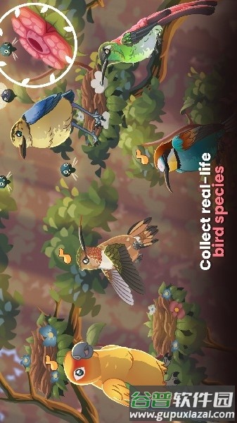 鸟类世界游戏(Bird Kind)截图3