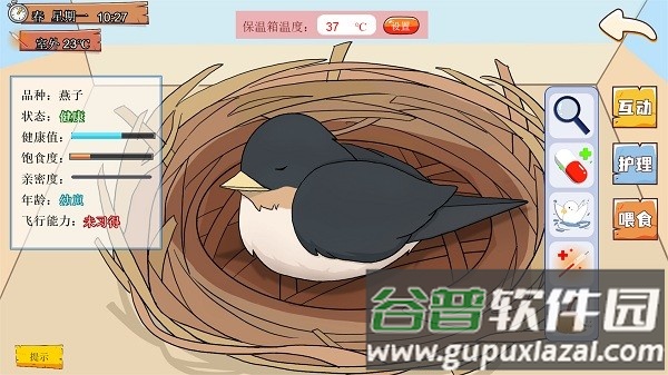 鸟巢官方版截图3