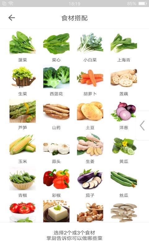 掌厨网手机客户端截图2
