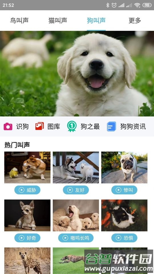 鸟叫声大全app截图1