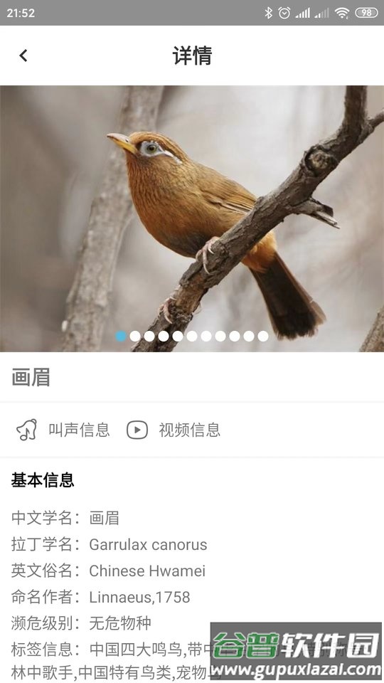 鸟叫声大全app截图2